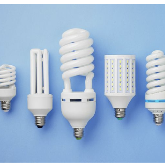 Bóng đèn điện quang 8v 